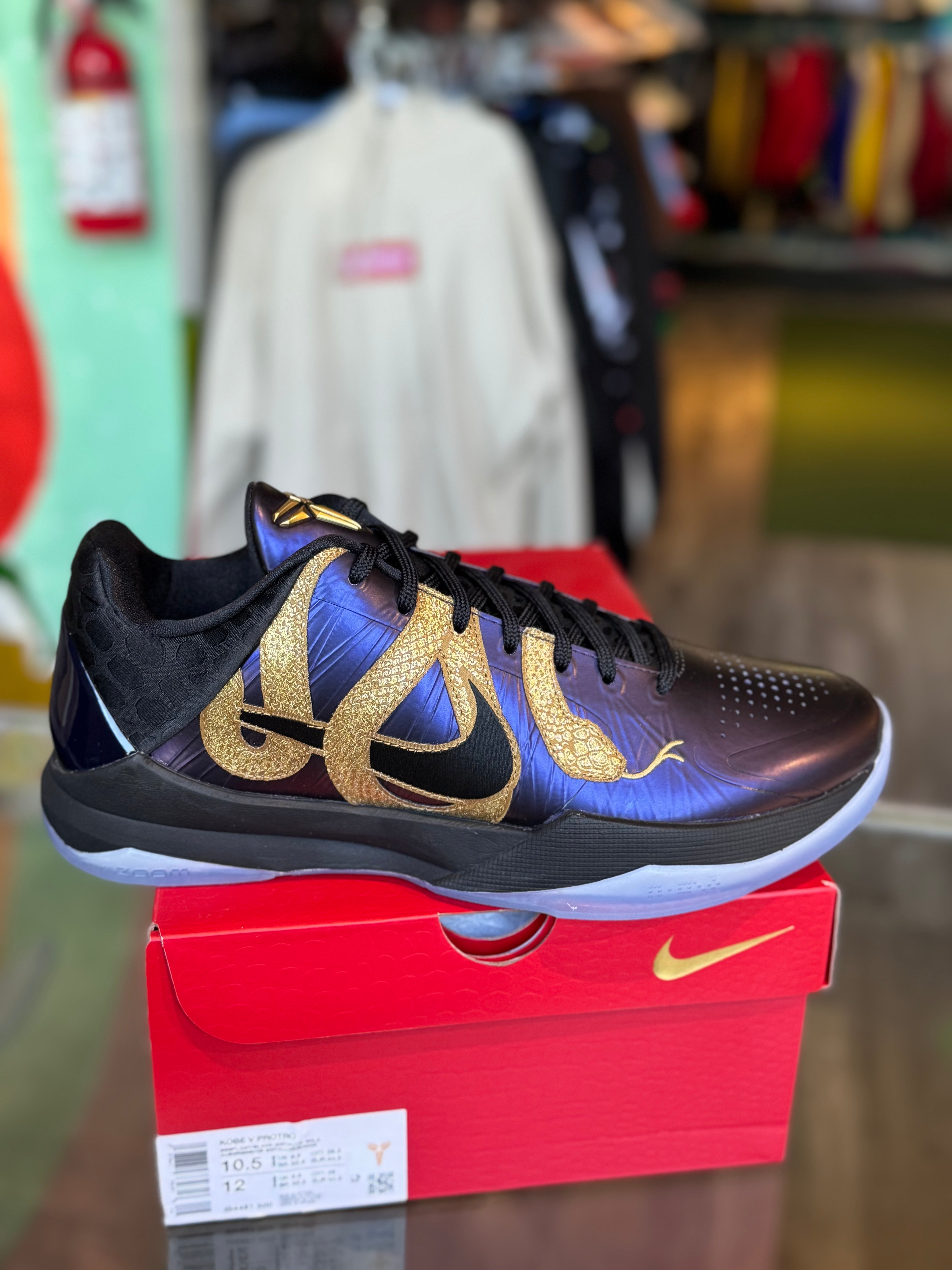 Kobe 5 year of mamba